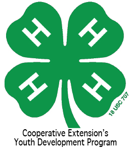 Cover photo for NC 4-H Volunteer Leaders' Conference 2022