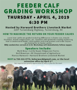 Cover photo for Feeder Calf Grading Workshop