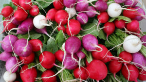Farmers' market radishes.