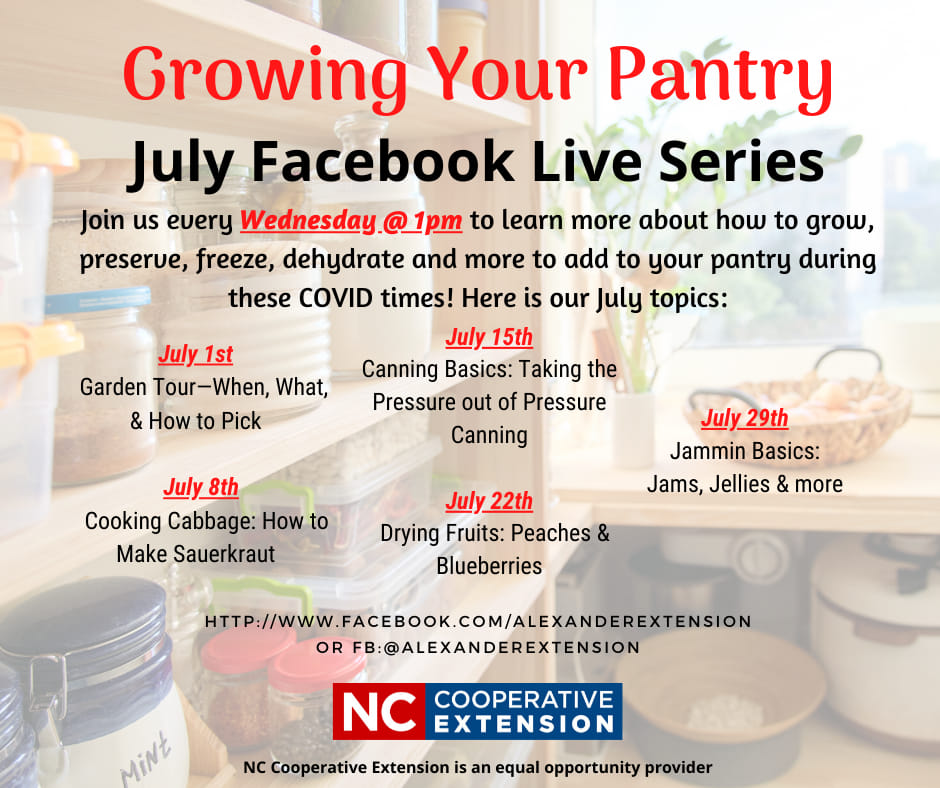 Growing Your Pantry series flyer