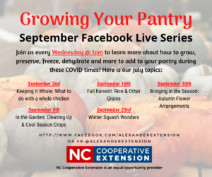 Cover photo for September's Growing Your Pantry Series