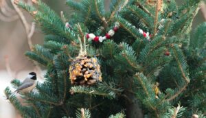 Pine Cone with peanut butter and birdseed ornament and popcorn/ cranberry garland