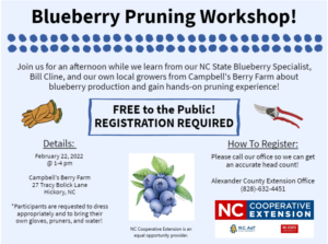Blueberry Pruning Workshop Flyer
