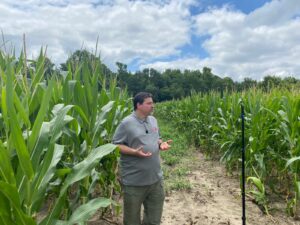 Cover photo for Starter P Fertilizers for Corn in North Carolina