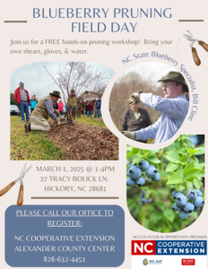 blueberry pruning field day flyer