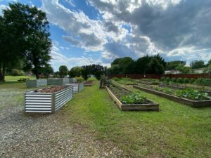 Cover photo for Community Garden Beds Available to Rent in Taylorsville
