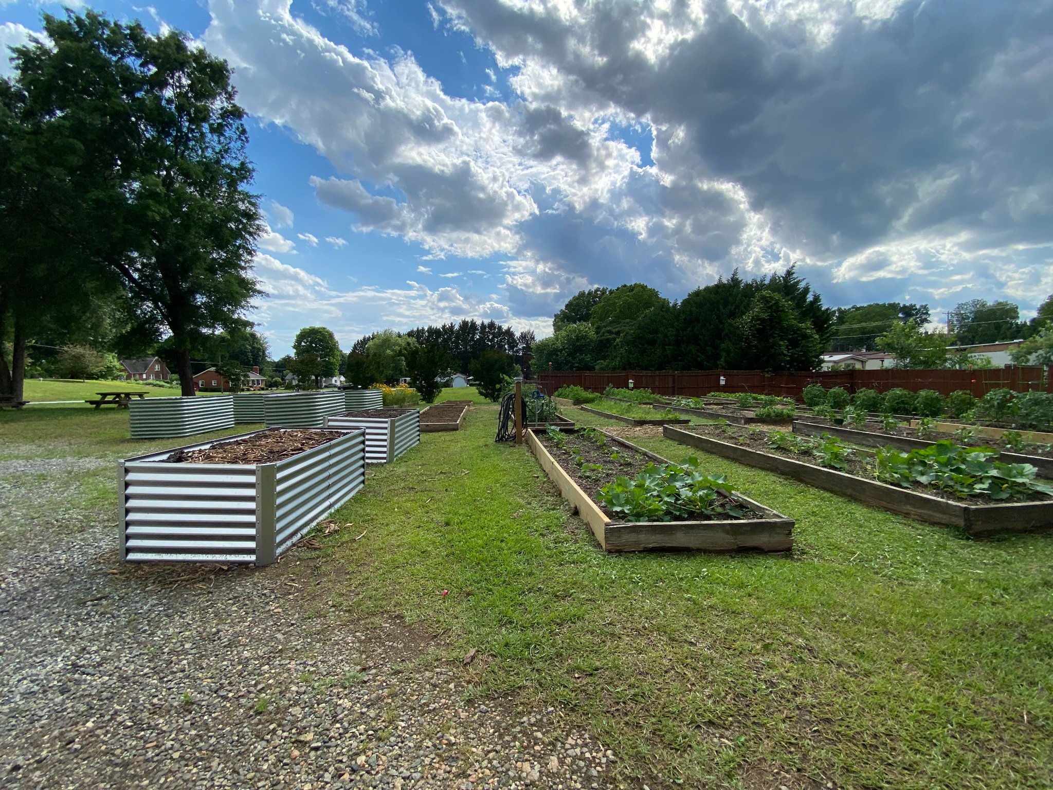 photo of community garden