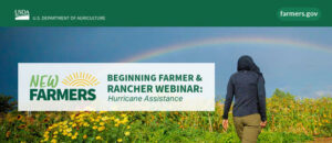 Cover photo for Free Webinar on USDA Hurricane Recovery Options for Beginning Farmers and Ranchers